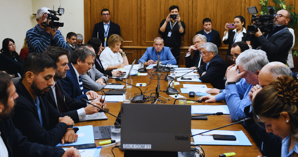 Debate Reabierto: Cuotas de Merluza Común Dividen Opiniones en Comisión Mixta