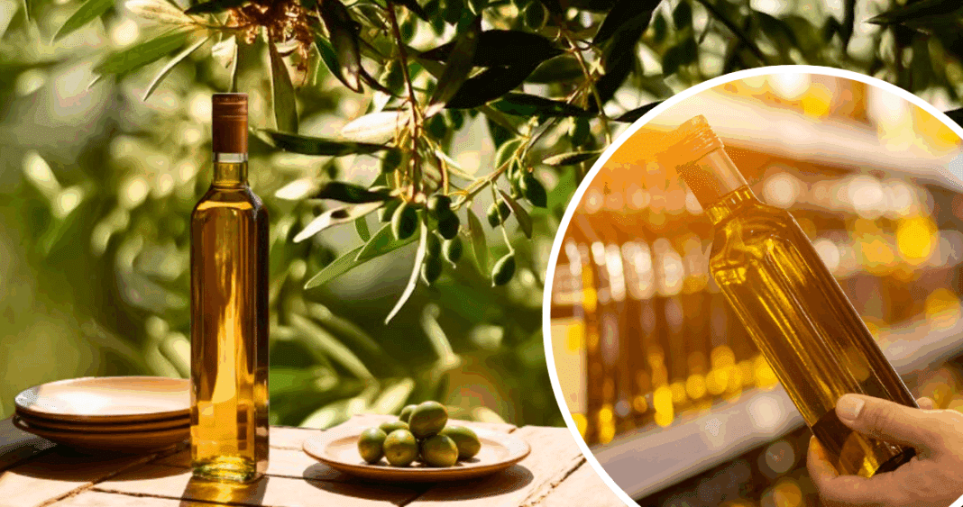 Descubre los Secretos del Aceite de Oliva: Cómo Elegir el Mejor y Aprovecharlo al Máximo