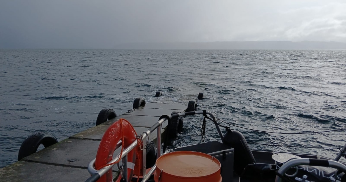 Descubren Cuerpo Flotando en Muelle de Quellón: Investigación en Curso