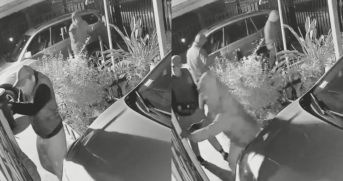 Dueño de Casa Defiende su Hogar: Dos Delincuentes Baleados en Frustrado Robo en Maipú