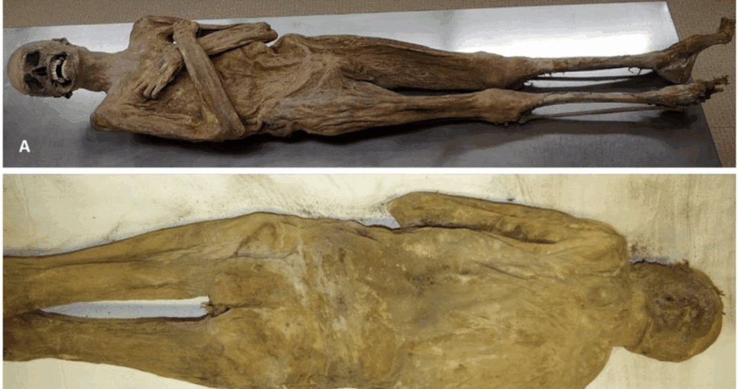 El Misterio de la Momia del