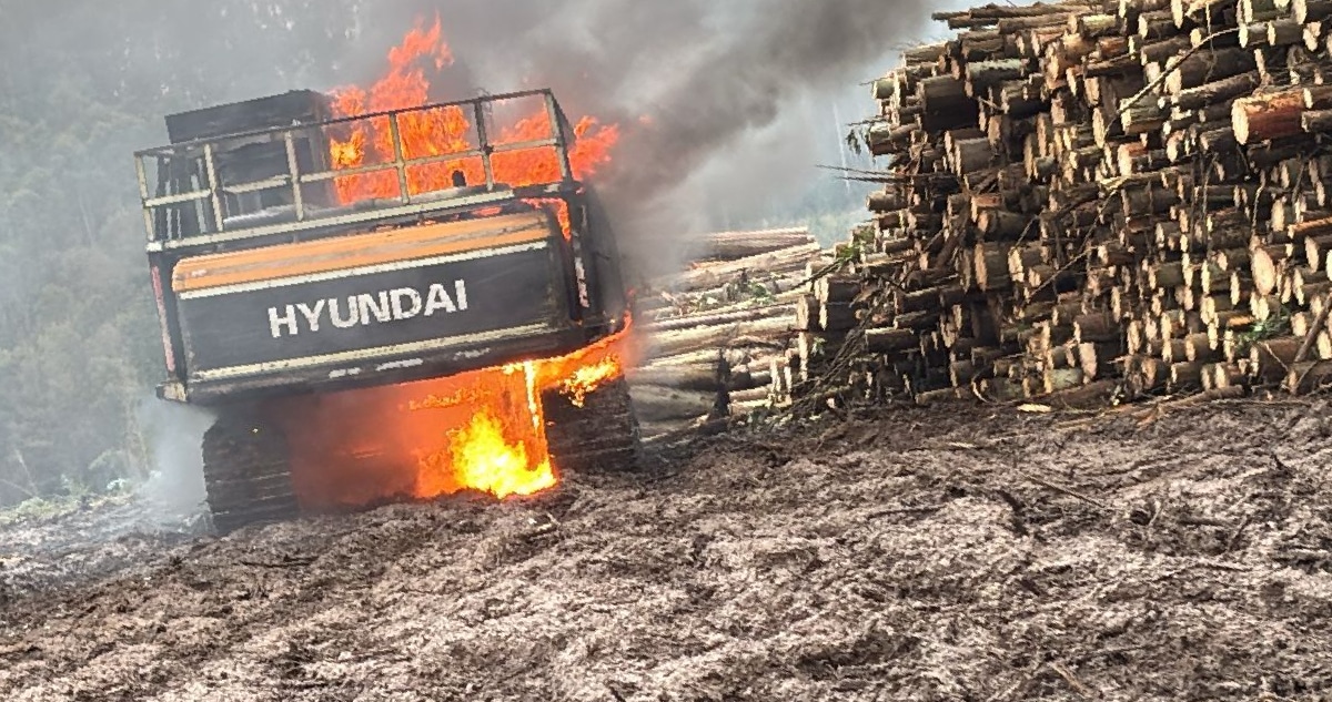 Empresario Denuncia Falta de Estado de Derecho: Atentado Incendiario Devasta su Negocio en La Araucanía