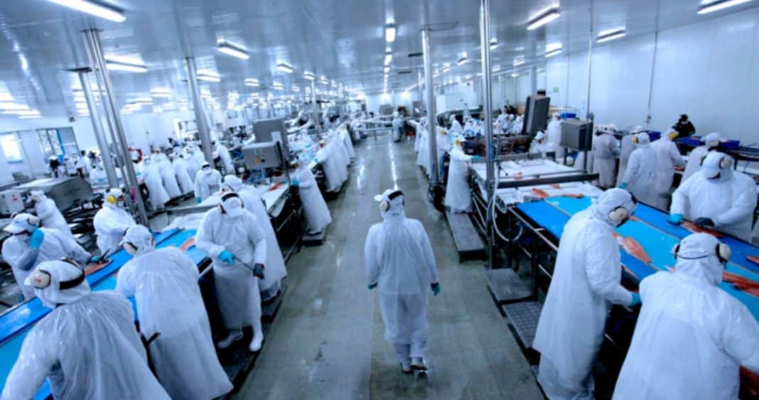 Escándalo en la Ley de Fraccionamiento Pesquero: Datos Falsos Ponen en Duda la Votación
