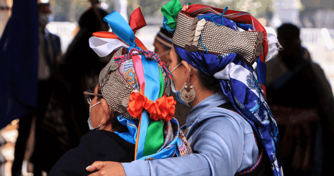 Hacia una Representación Genuina de los Pueblos Indígenas en el Foro Permanente de la ONU