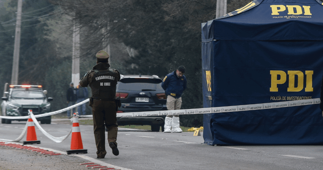 Hallazgo Macabro: Cuerpo Decapitado Devorado por Perros en Lumaco