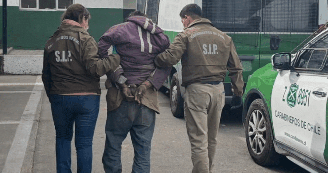 Hombre Detenido por Actos Aberrantes Contra Tres Perros en Vallenar