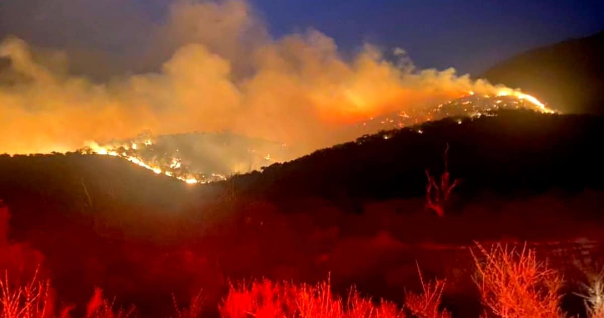 Incendio Forestal Devasta 800 Hectáreas en Región Metropolitana: Autoridades Suspenden Clases y Emiten Alertas