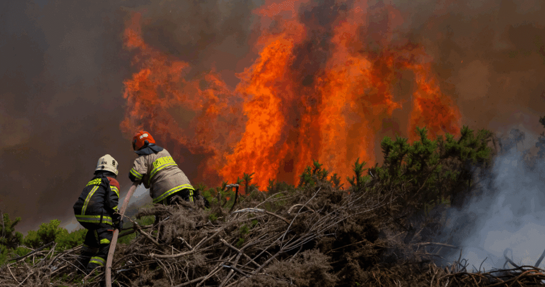 Incendios Forestales en Los Lagos: Investigaciones Activas y Mejoras en el Control