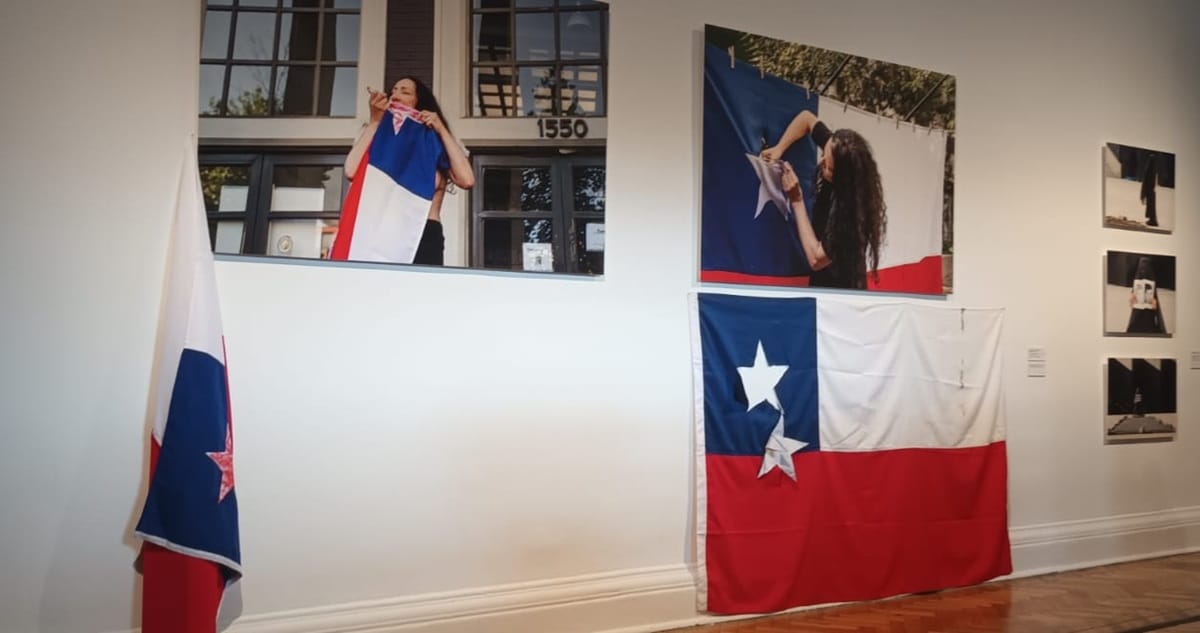 La Bandera Intervenida: Cuando el Arte Desafía los Símbolos Nacionales