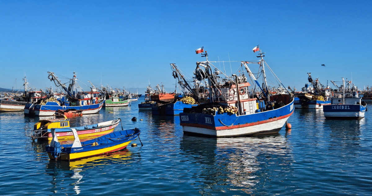 La Batalla por el Fraccionamiento: Pescadores Artesanales Celebran Avances, Pero Advierten Sobre el