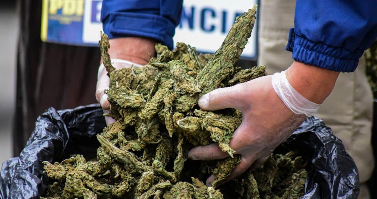 La Caída de la Mafia China Bang de Fujian: 45 Años de Prisión por Narcotráfico