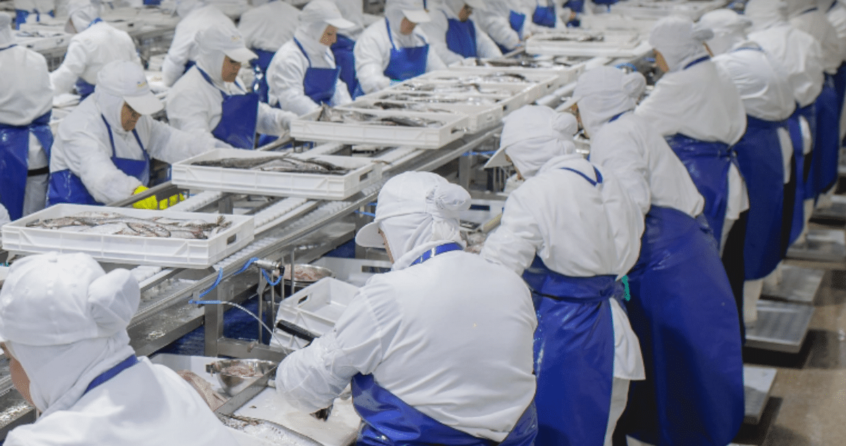 La Dura Realidad Detrás del Cierre de PacificBlu: Una Lucha por la Supervivencia