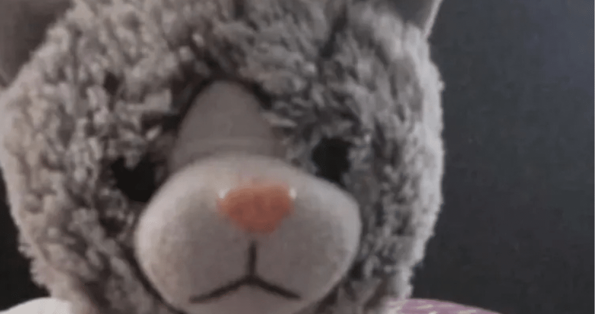 La Lucha de una Familia por Recuperar el Peluche Insustituible de su Hijo con TEA