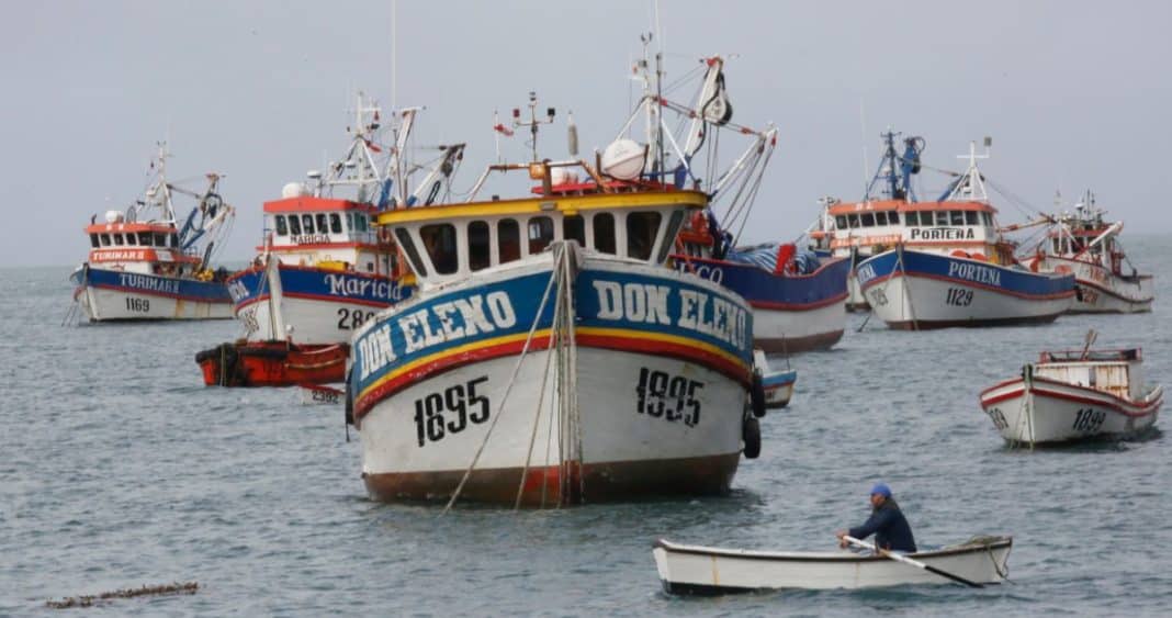 Ley de Fraccionamiento: Buscando un Equilibrio Sostenible entre Pesca Industrial y Artesanal