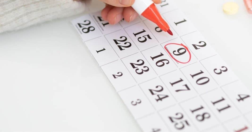 Los 19 Feriados Imperdibles de Chile en 2025: Planifica Tus Días Libres