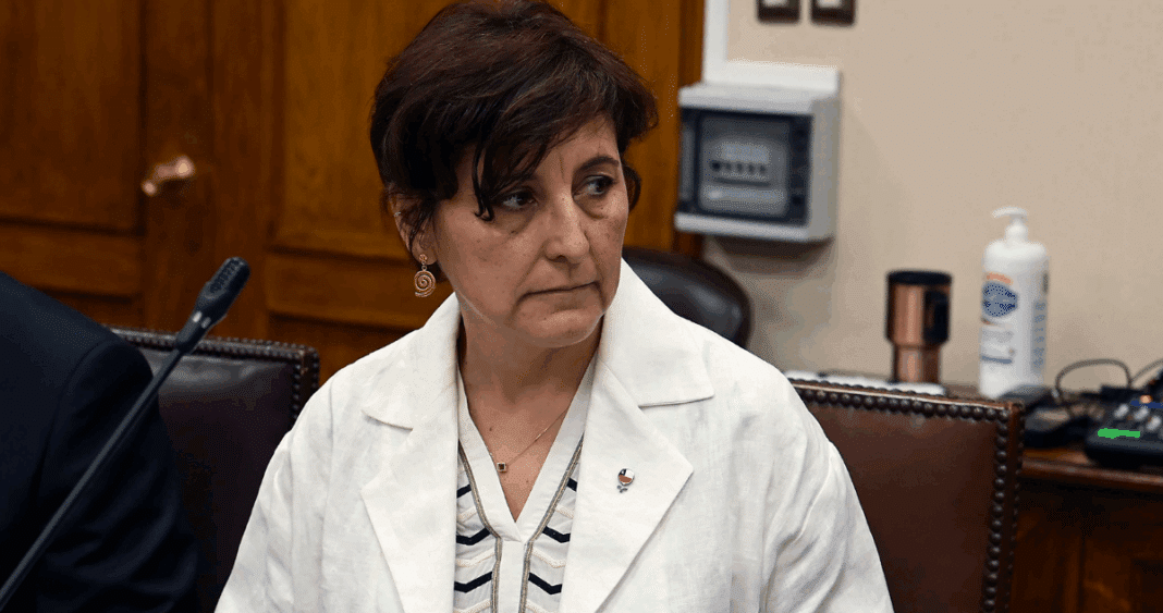 Ministra de Salud Aborda Desafíos del Nuevo Hospital de La Unión con Comunidades Mapuche