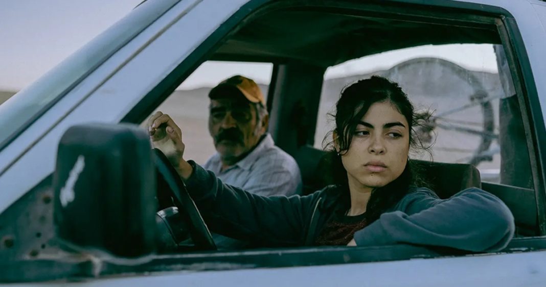 Oro Amargo: Donde la Codicia y la Precariedad se Encuentran en las Minas del Norte de Chile