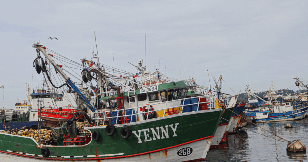 Pescadores Artesanales de Valparaíso se Manifiestan por una Ley de Fraccionamiento Justa