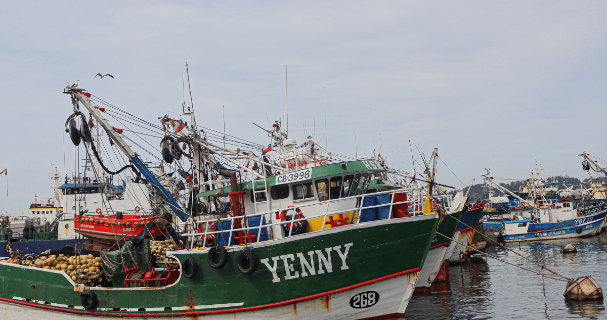 Pescadores Artesanales de Valparaíso se Manifiestan por una Ley de Fraccionamiento Justa