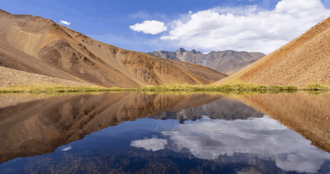 Preservando el Santuario de la Naturaleza Río Cochiguaz: Una Batalla Ganada por la Conservación
