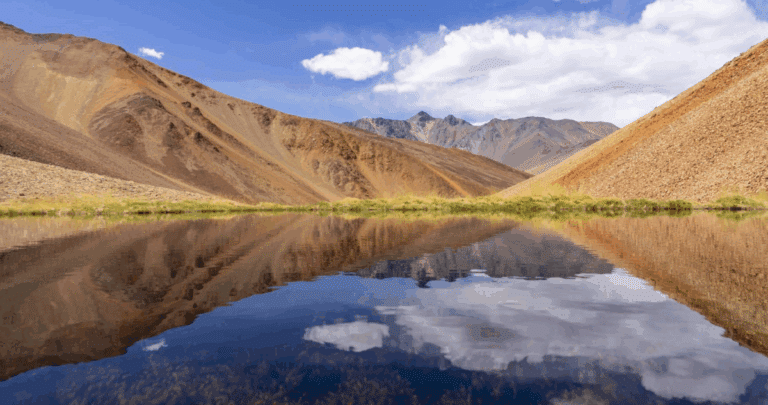 Preservando el Santuario de la Naturaleza Río Cochiguaz: Una Batalla Ganada por la Conservación