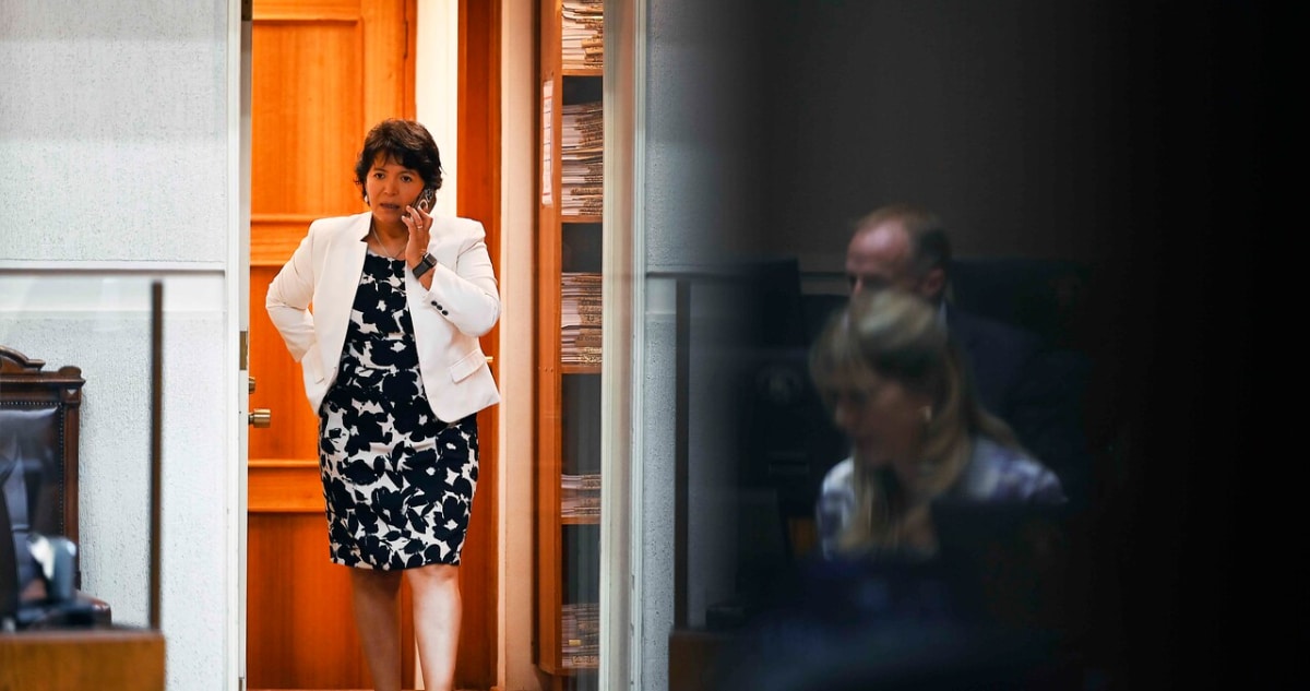 Reforma Política: Senado Pospone Votación Mientras Busca Consenso con Ministro