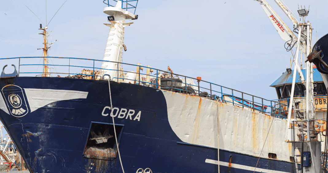 Revelaciones Clave en la Investigación del Caso Bruma: Peritajes Exhaustivos del Barco Cobra en Busca de Evidencia Biológica