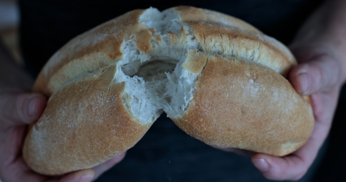Revolucionando el Pan Chileno: Cómo la Vitamina D Está Transformando la Industria Panadera