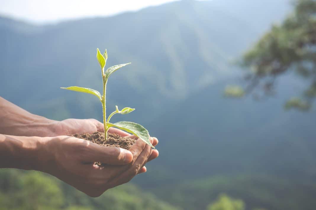 Schneider Electric Lidera la Transparencia Ambiental: Nueva Herramienta Digital Revoluciona la Toma de Decisiones Sostenibles