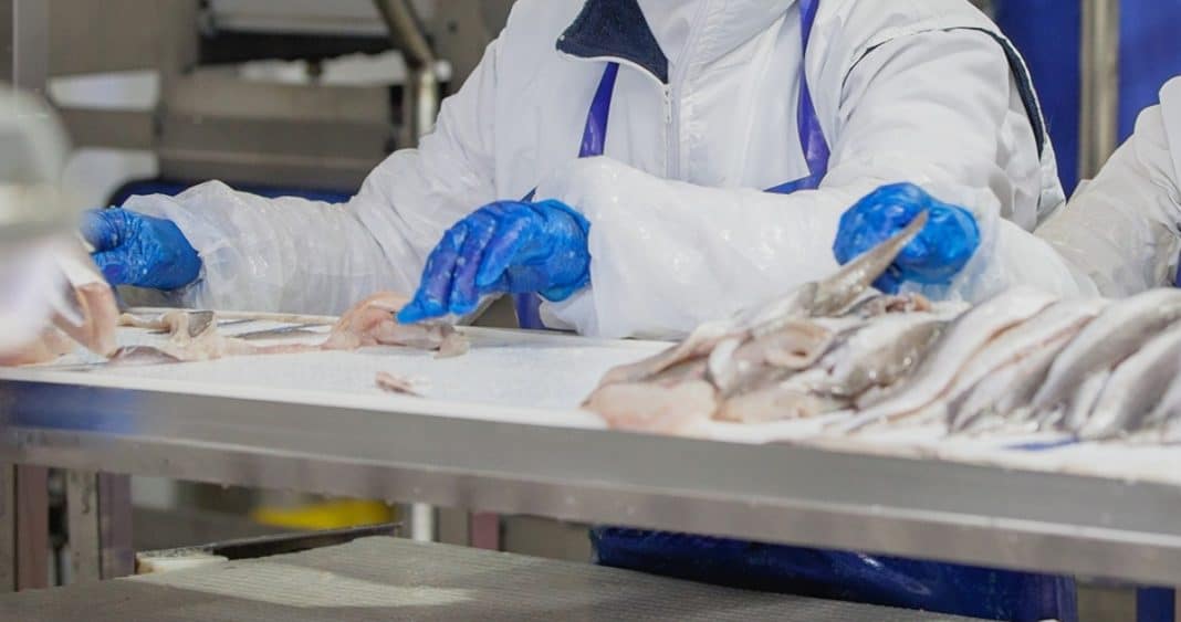 Talcahuano en Declive: El Impacto del Cierre de PacificBlu en la Industria Pesquera