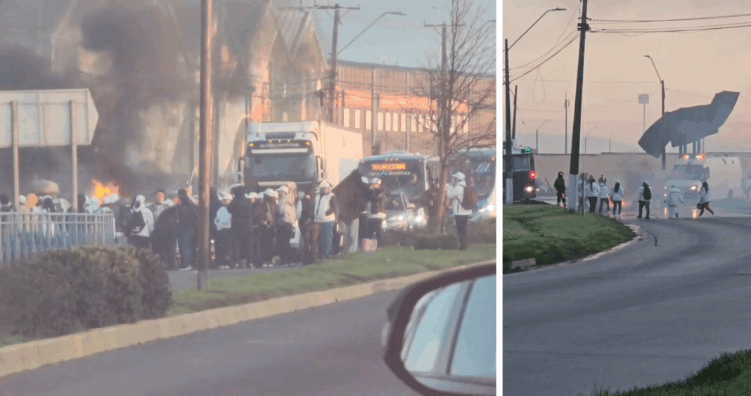Trabajadores de PacificBlu Protestan por Cierre Inminente de la Empresa