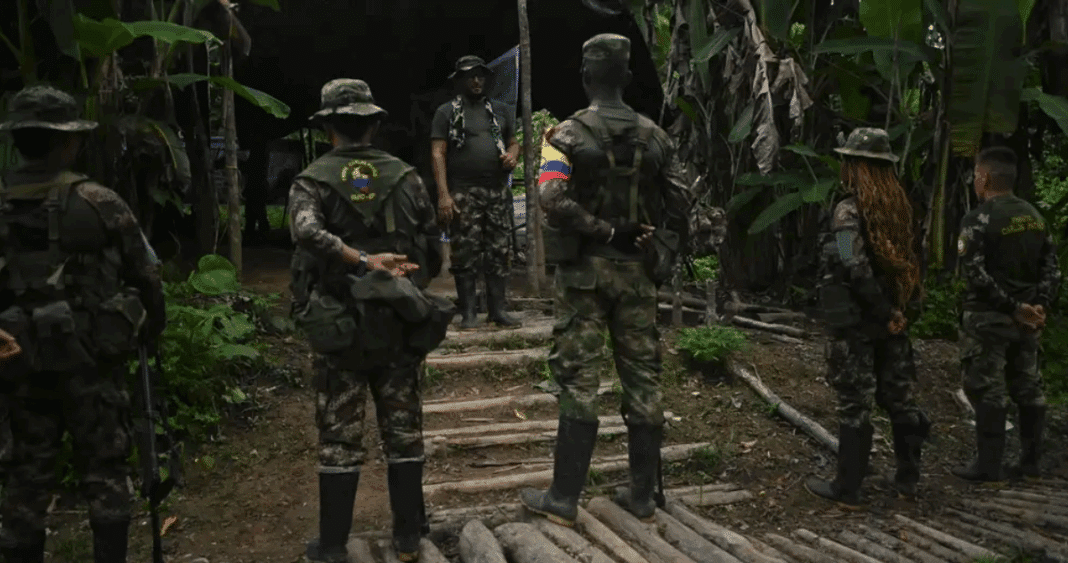 Tragedia en la Amazonía: 12 militares ecuatorianos mueren en emboscada de disidentes de las FARC