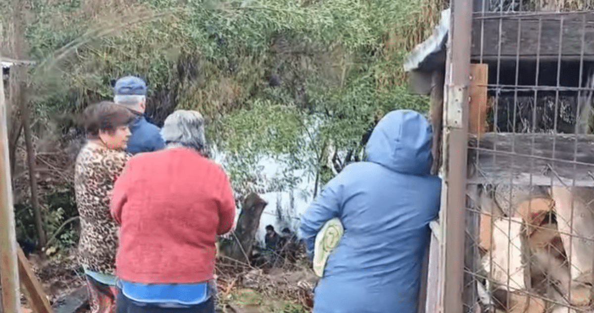 Trágica Caída en el Puente Padre Hurtado: Hombre Pierde la Vida en el Río Cholchol