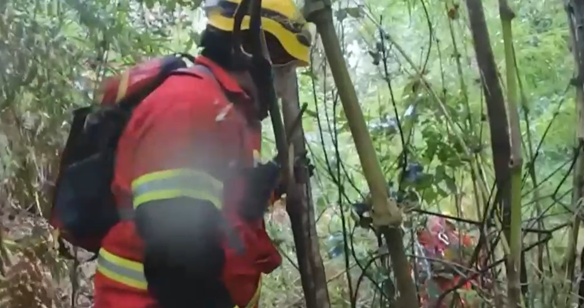 Adulto Mayor Desaparecido en Termas de Puyehue: Una Búsqueda Desesperada Contra el Tiempo
