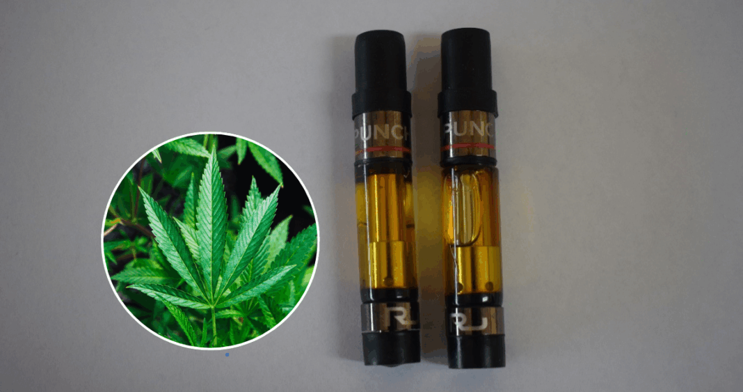 Alerta: Nueva Variante Sintética de Cannabis Detectada en Chile, Mucho Más Potente y Peligrosa