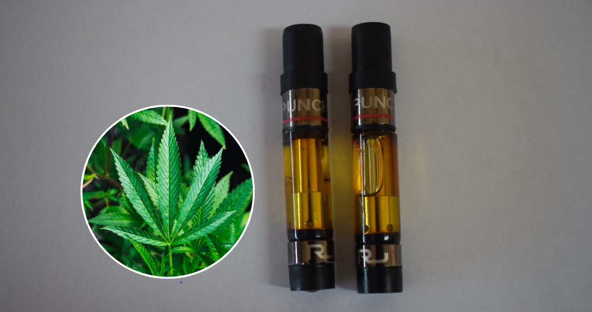 Alerta: Nueva Variante Sintética de Cannabis Detectada en Chile, Mucho Más Potente y Peligrosa