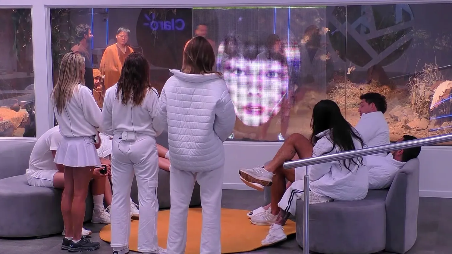 Análisis de Audiencia TV en Chile: Domingo 29 de Junio