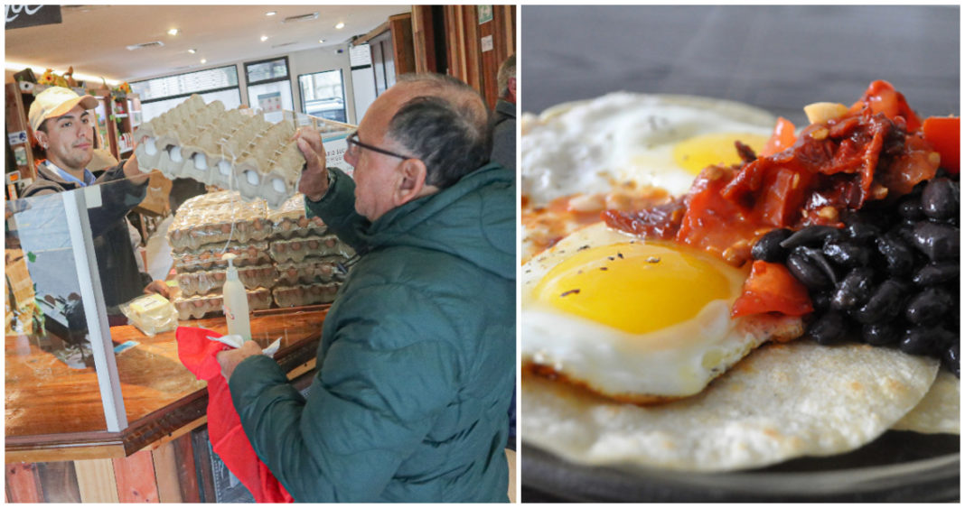 Cómo el Invierno Afecta la Producción de Huevos y Cómo Disfrutarlos al Estilo Ranchero