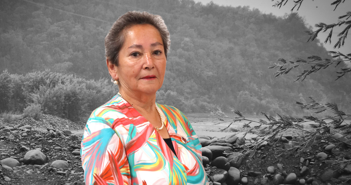 Concejala Desaparecida en Villa Alegre: La Búsqueda Incansable por Hallar a María Ignacia González