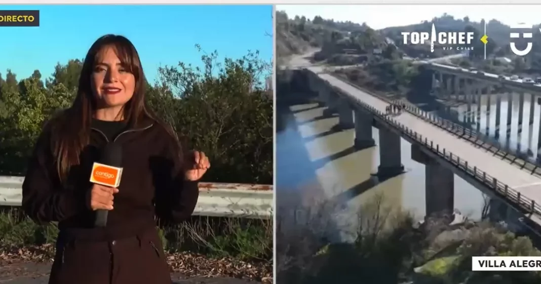 Desaparición de Concejala en Villa Alegre: Nuevos Indicios Bajo el Puente Loncomilla