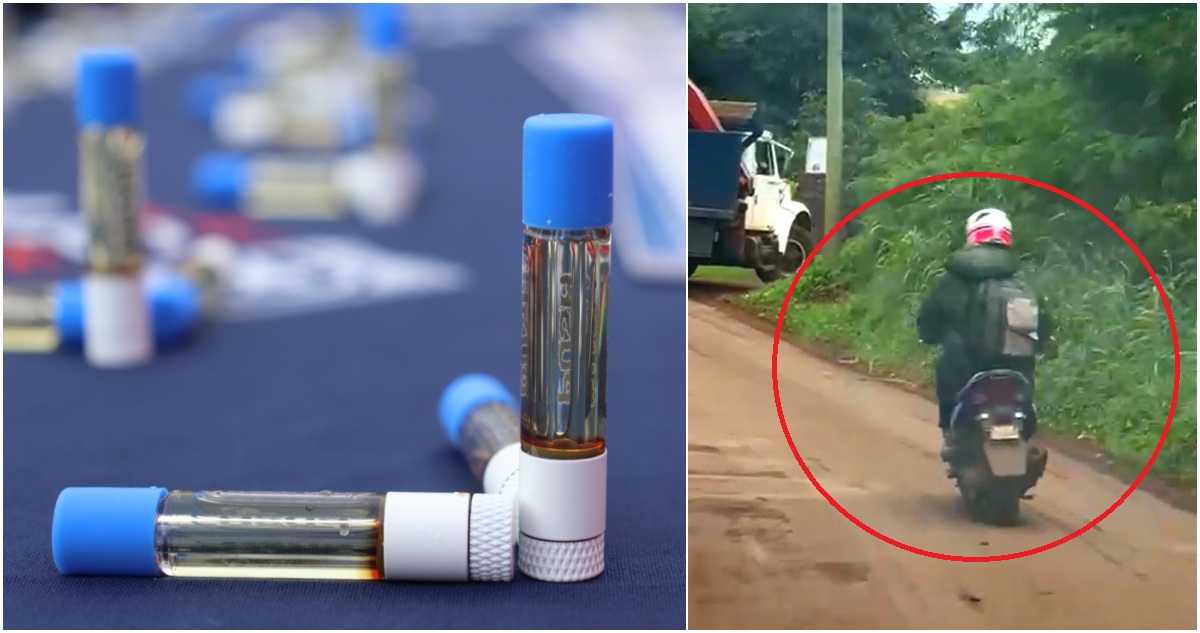 Desmantelan Intento de Tráfico de Drogas a Isla de Pascua: Incautan 50.200 Dosis de THC