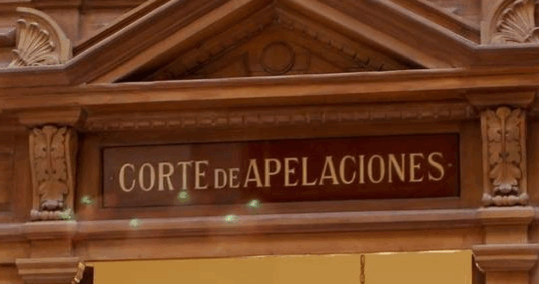 Destapan Escándalo de Adopciones Irregulares en Temuco: Ministro Investiga Violación de Derechos Humanos