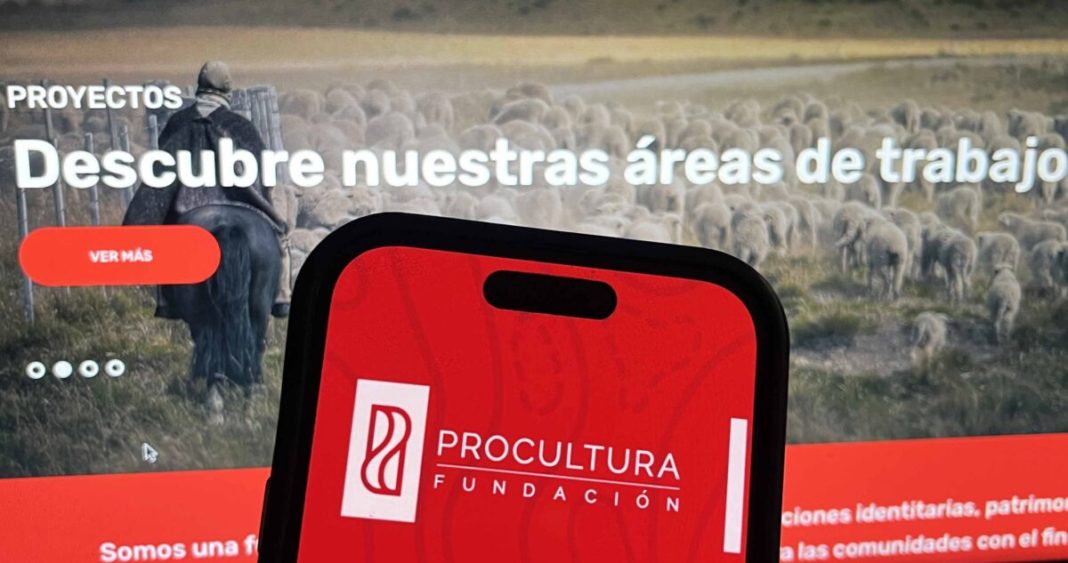 Exgerenta de ProCultura Denuncia Obstrucción de Acceso a Investigación