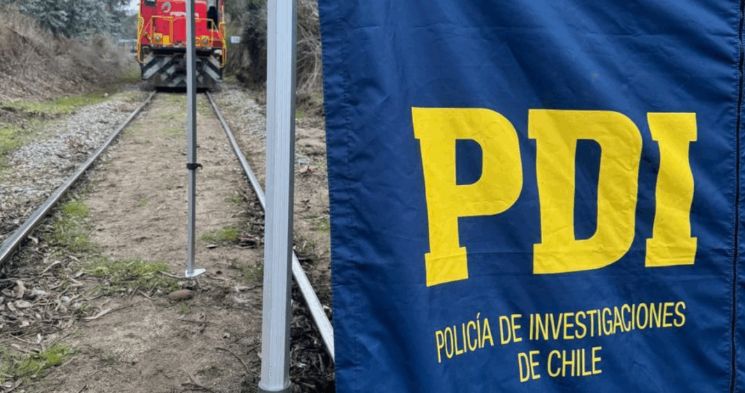Hallazgo Macabro: Hombre Asesinado y Mutilado Junto a Vía Férrea en Quillota