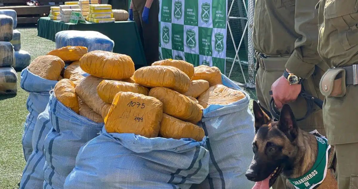 Histórica Incautación de Drogas en la Frontera: Cuatro Detenidos y Más de una Tonelada Decomisada