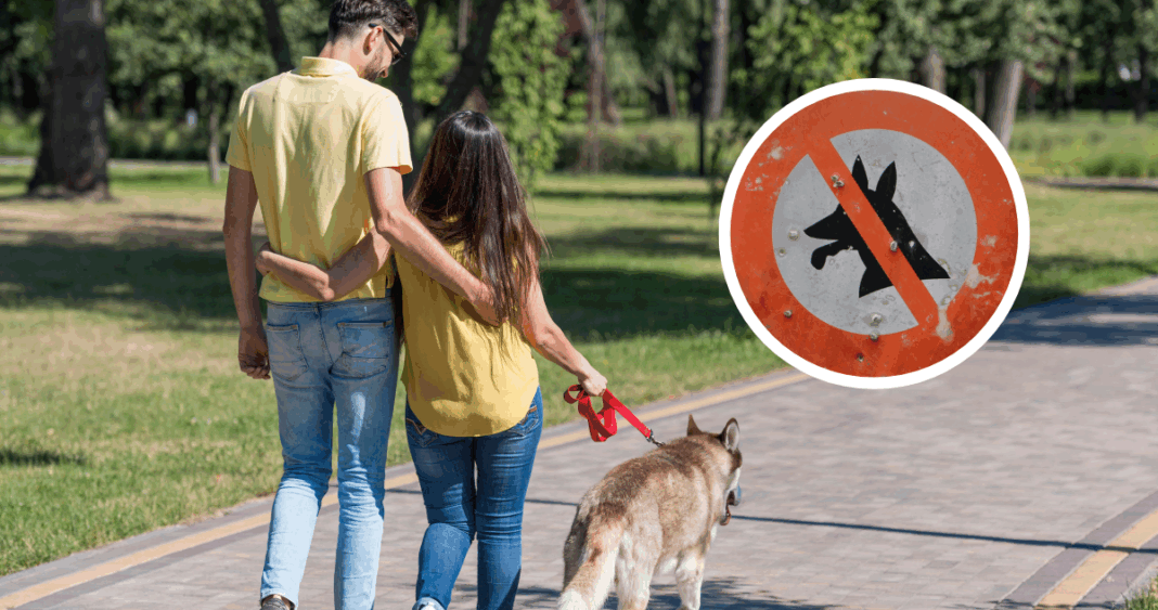 Irán: La Prohibición de Pasear Perros y la Lucha Contra la