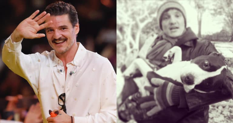 La Perrita que Salvó a Pedro Pascal: De la Pobreza a la Fama