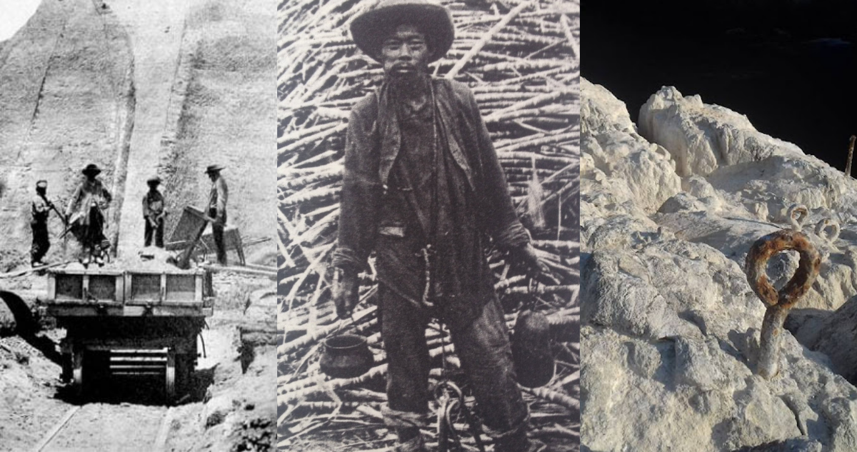 Los Coolies Chinos: Esclavos del Guano que Ayudaron a Chile en la Guerra del Pacífico