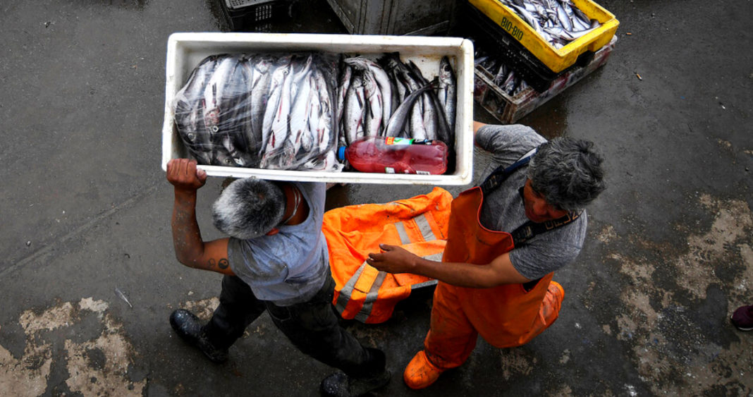 Nuevo Fraccionamiento Pesquero: Sector Artesanal Gana Cuotas en Histórica Ley