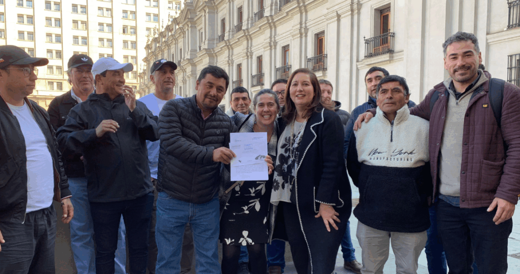 Pescadores Artesanales Luchan por la Preservación de la Merluza: Piden Intervención Presidencial